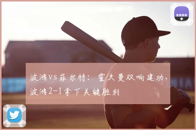 波鸿vs菲尔特：霍夫曼双响建功，波鸿2-1拿下关键胜利